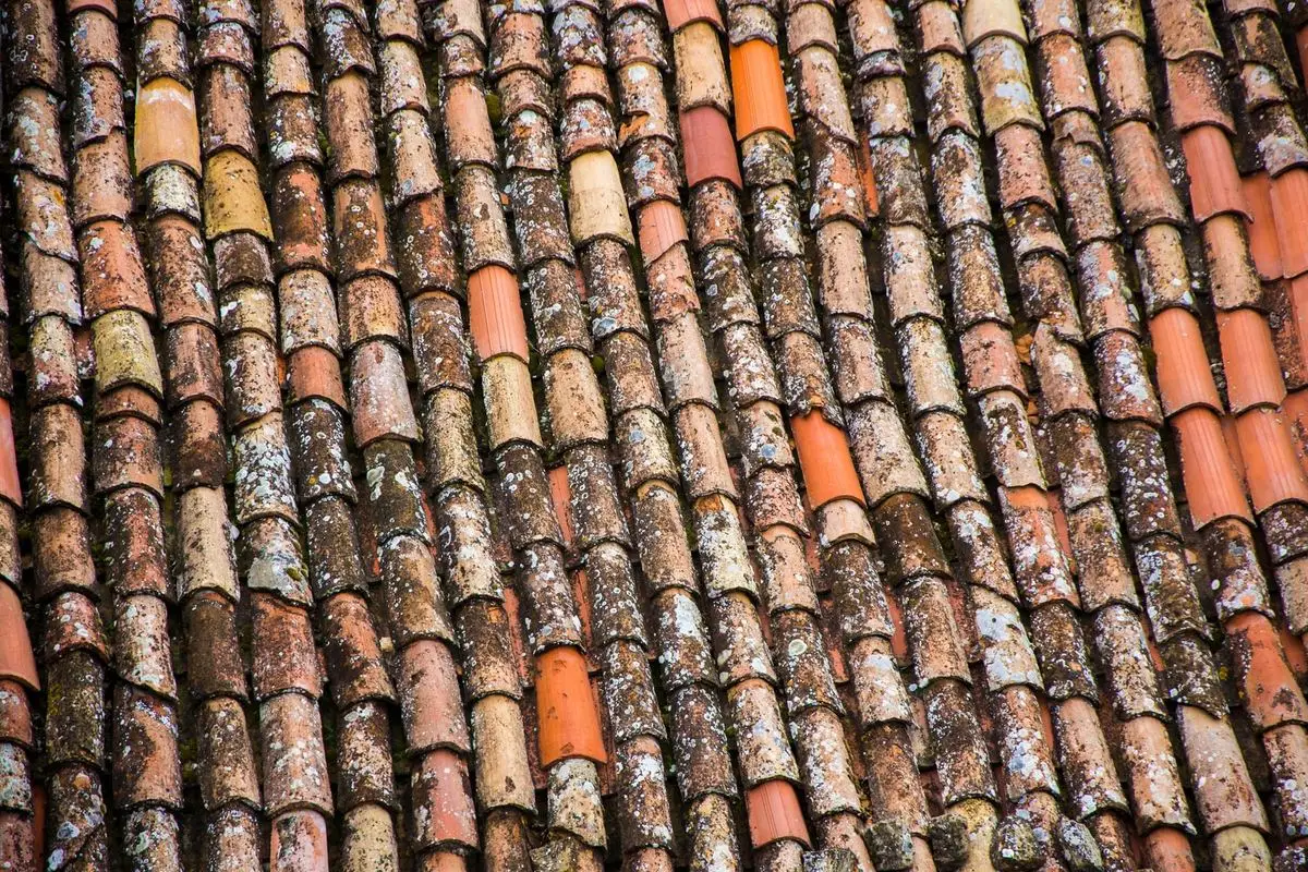 Old lichen-covered clay roof tiles